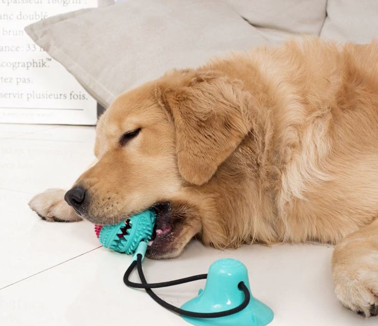 DogFri™ TugToy - Primal Suction Interactive Tug of War Toy